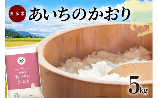 知多米　あいちのかおり5kg ／ お米 白米 うるち米 愛知県 特産品 397647 - 愛知県知多市