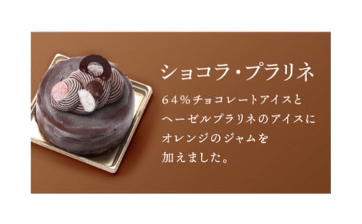 ES05　アイスケーキ ショコラ・プラリネ【アイスケーキ アイス ケーキ 洋菓子 菓子 ワンホールケーキ スイーツ 人気スイーツ 人気アイスケーキ 岡山県 倉敷市 おすすめ 人気】