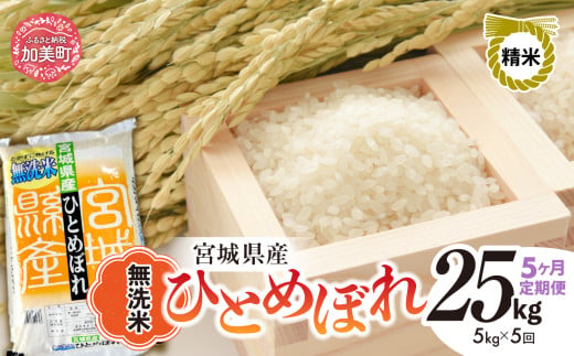 【 5回 定期便 】無洗米 令和6年度産 宮城 ひとめぼれ 計 25kg （ 5kg × 5回） ｜ 菅原精米工業 宮城県 加美町 sw00003-r601-5kg-5 ｜ ヒトメボレ 米 コメ ごはん お米