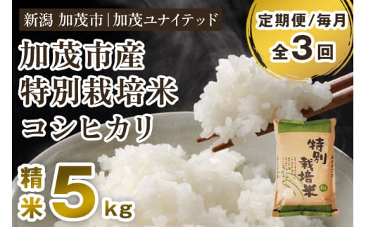 【令和6年産米】【定期便3ヶ月毎月お届け】加茂市産 特別栽培米 コシヒカリ 精米5kg 栽培期間中は化学肥料・農薬不使用 新潟米 お米 白米 こしひかり 加茂ユナイテッド