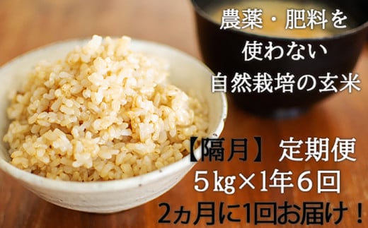 【隔月・全6回定期便】　【玄米】自然栽培米 角田玄米 ゆきひかり 5kg 《厚真町》 【カクタファーム】 米 お米 玄米 ゆきひかり ご飯 北海道 [AXAR010]