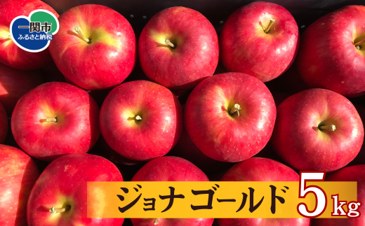 [先行予約]特選 ジョナゴールド 5kg りんご リンゴ 林檎 果物 フルーツ 送料無料 岩手県 一関市