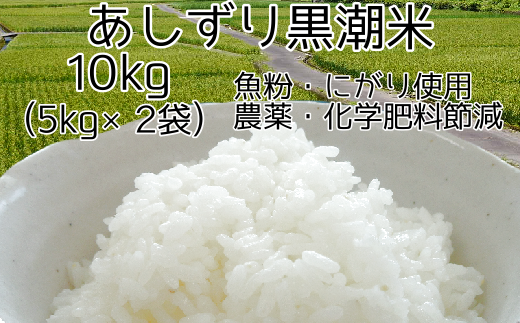令和7年産  あしずり黒潮米10kg（5kg×2袋）【コシヒカリ】精米 白米 こめ コメ おコメ こしひかり ブランド米 10キロ  国産 送料無料 高知県 にがり【R01507】 1319275 - 高知県土佐清水市