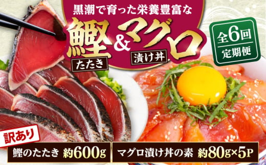 [6回定期便]規格外カツオたたき 約600g+マグロ漬け丼の素 約80g×5パック [興洋フリーズ株式会社] [ATBX126]