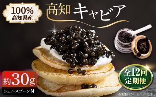 【12回定期便】高知県産熟成キャビア約30g (化粧箱) シェルスプーン付Black Jewel 【興洋フリーズ株式会社】 [ATBX102]