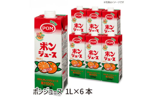 えひめ飲料　ポンジュース1L×6本【1499873】 1374249 - 茨城県茨城県庁