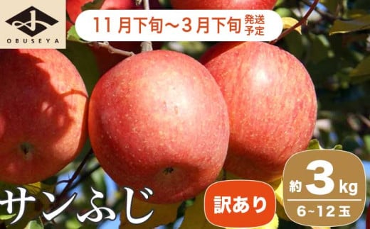 【訳あり】 サンふじ 約3kg 6～12玉 ［小布施屋］ りんご 林檎 リンゴ 不揃い 規格外 果物 フルーツ 生産者応援 支援 家庭用  長野県産 信州産 小布施町 令和7年産 【2025年11月下旬～2026年3月下旬発送】 ［B-71］ 1433966 - 長野県小布施町