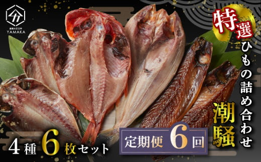 【定期便年6回2ヶ月毎】 干物 厳選セット 4種 6枚 金目鯛 あじ 真ほっけ さば 醤油 醤油干し 鰯 鯖 サバ アジ ひもの 沼津 静岡 コスパ ランキング 人気 美味しい 詰め合わせ 干物セット