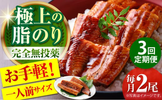 【3回定期便】高知県産 うなぎ蒲焼き 約90g×2尾 タレ付き 【株式会社 四国健商】 [ATAF146]