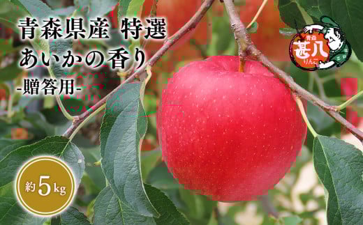 ≪選べる配送月≫１２月発送　特選　甚八りんごあいかの香り５kg　【青森県 平川市 マルジンサンアップル】１２月発送 青森 青森県産 平川 りんご リンゴ 林檎 くだもの 果物 フルーツ 