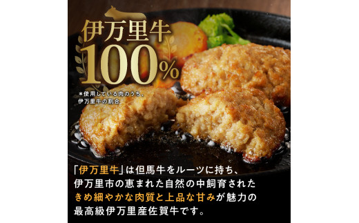 佐賀県伊万里市のふるさと納税 【伊万里牛100％使用】 伊万里牛 ハンバーグ 約70ｇ×5個 計約350ｇ　J1109