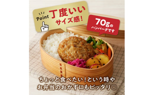 佐賀県伊万里市のふるさと納税 【伊万里牛100％使用】 伊万里牛 ハンバーグ 約70ｇ×5個 計約350ｇ　J1109