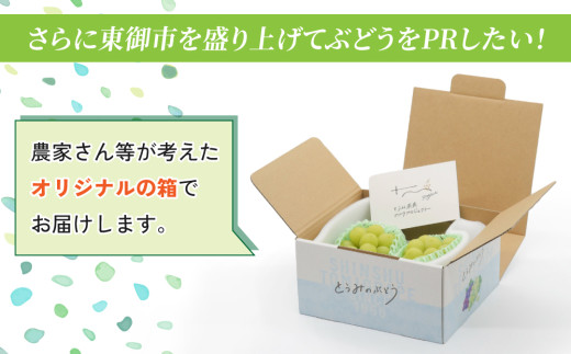 ふるさと納税専用の箱に梱包してお届けします