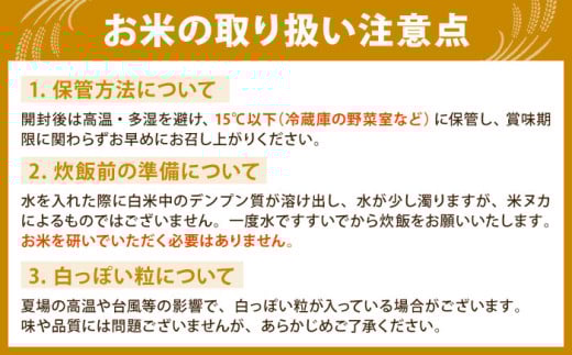 【14年連続 特A受賞】さがびより 無洗米 5kg【五つ星お米マイスター厳選】 [HBL005]