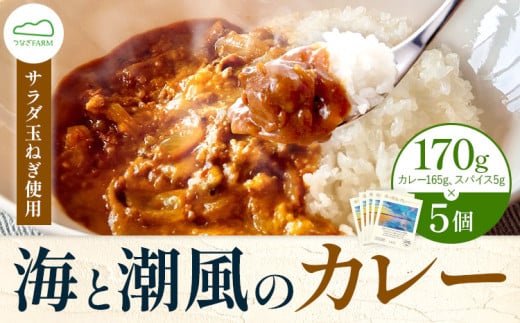 海と潮風のカレー 850g (170g × 5個) ゆいやわす《5月中旬-6月下旬頃出荷》熊本県 葦北郡 津奈木町 カレー 簡単調理 つなぎFARM サラダ玉ねぎ使用