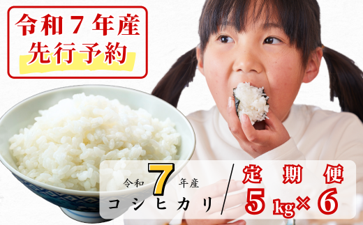 《令和7年産新米先行予約・9月ごろよりお届け開始》【6回定期便】白米 5kg 令和7年産 コシヒカリ 岡山 あわくら源流米 K-af-CEZA 1973728 - 岡山県西粟倉村