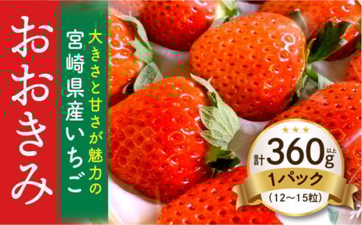 【数量・期間限定】宮崎県産いちご「おおきみ」1パック(計360g以上:12粒~15粒)_M260-001 581074 - 宮崎県宮崎市