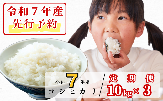 《令和7年産新米先行予約・9月ごろよりお届け開始》【3回定期便】白米 10kg 令和7年産 コシヒカリ 岡山 あわくら源流米 K-ag-BEZA 1973732 - 岡山県西粟倉村