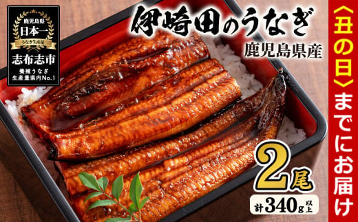 【丑の日までに配送】【数量限定】鹿児島県産 伊崎田のうなぎ蒲焼 大＜170g以上＞× 2尾(計340g以上) 鰻 うなぎ ウナギ 蒲焼き 2尾 国産 九州産 鹿児島県産 冷凍 おつまみ 鰻重 うな丼 a6-053-us