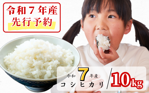 《令和7年産新米先行予約・9月ごろよりお届け開始》白米 10kg 令和7年産 コシヒカリ 岡山 あわくら源流米 K-ag-AEZA 1973733 - 岡山県西粟倉村