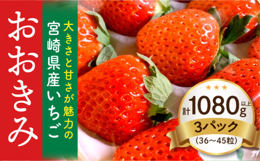 【数量・期間限定】宮崎県産いちご「おおきみ」3パック（計1080g以上：36粒～45粒）_M260-011