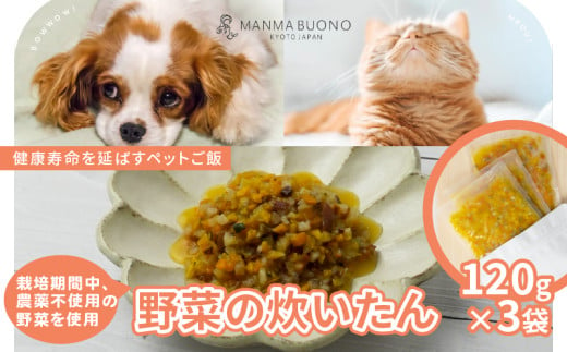 野菜の炊いたん 120g×3袋 栄養補完食 ドッグ キャット 犬 猫 グルメ 食べやすい ドックフード キャットフード ペットフード 手作りごはん 福知山市 京都