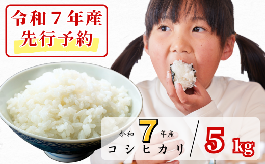 《令和7年産新米先行予約・9月ごろよりお届け開始》白米 5kg 令和7年産 コシヒカリ 岡山 あわくら源流米 K-af-AEZA 1973730 - 岡山県西粟倉村