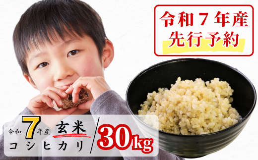 《令和7年産新米先行予約・9月ごろよりお届け開始》玄米 30kg 令和7年産 コシヒカリ 岡山 あわくら源流米 K-ad-AEZA 1973746 - 岡山県西粟倉村