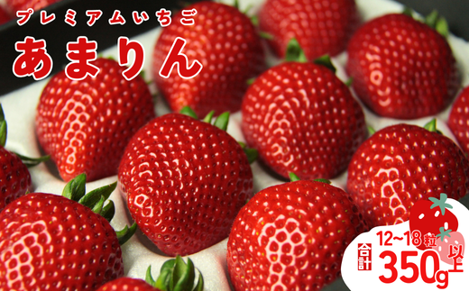 【発送～4月】あまりん　350～400ｇ　【苺】 イチゴ おおきい スイーツ あかい 果物 ふるさと納税 いちご うまい フルーツ 期間限定 人気いちご まるい 甘い いちご 旬 直送 おすすめいちご ストロベリー 苺ジャム いちご 好きのための いちご