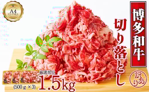 博多和牛切り落とし　1.5kg(500ｇ×3ｐ）[G0130]