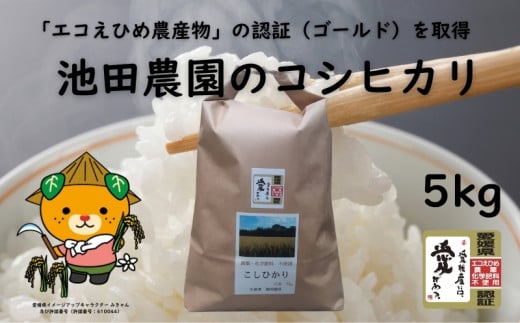 【精米】 愛媛県産 コシヒカリ 5kg R6年産  | お米 米 ご飯 ごはん 愛媛県 松山市