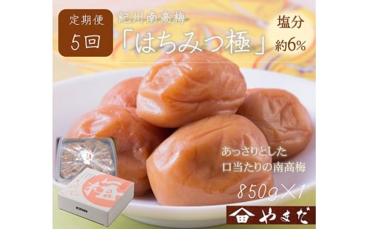 【定期便/2か月ごと/全5回】紀州南高梅はちみつ極塩分約6％（850g）