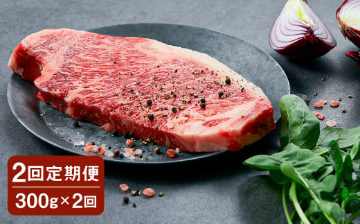 【2回定期便】黒樺牛 肉厚サーロインステーキ 300g 計600g 牛肉 和牛 お肉 ステーキ 黒毛和牛 国産 九州産 熊本県 湯前町