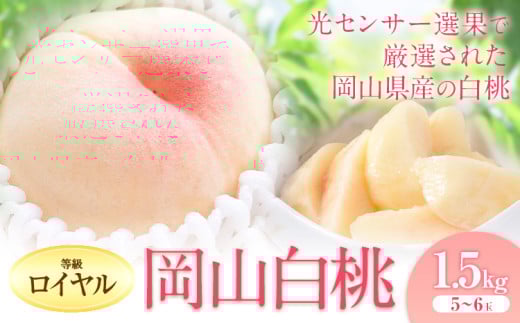 桃 もも[2025年出荷先行予約]岡山の白桃 等級 ロイヤル 約1.5kg(5〜6玉) 清水白桃 おかやま夢白桃 白鳳 白麗 なつおとめ 晴れの国 岡山農業協同組合 鴨方支店 [2025年7月上旬-8月下旬頃出荷]岡山県 浅口市 岡山県産 白桃 桃 もも 果物 フルーツ ギフト ご贈答 送料無料[配送不可地域あり]
