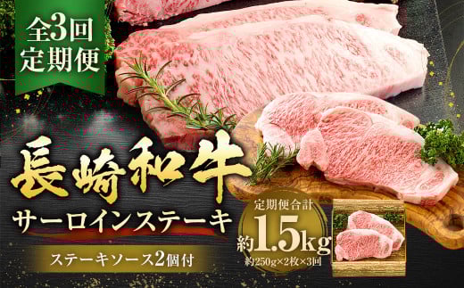【全3回定期便】長崎和牛 サーロイン ステーキ 250g×2枚 牛肉 肉 牛 和牛 国産 1435827 - 長崎県長崎市