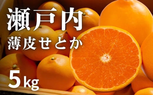 [予約] 2月発送 濃厚! 果汁たっぷり薄皮ハウスせとか 約5kg(20個程度) 広島県 大崎上島町 瀬戸内 柑橘 果物 フルーツ 贈答 ギフト