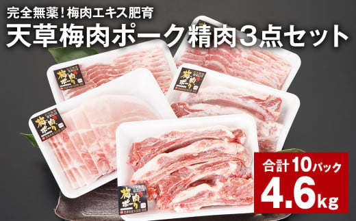 完全無薬！梅肉エキス肥育 天草梅肉ポーク【精肉3点】セット 計4.6kg 計10パック 豚肉 お肉