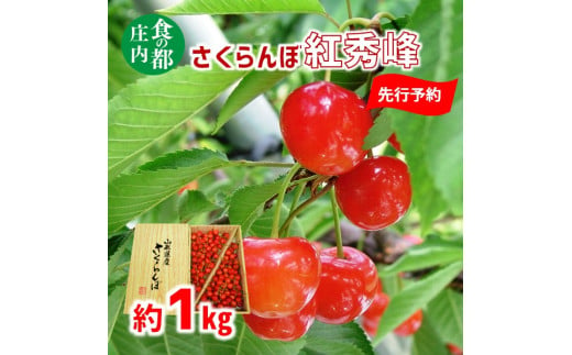 【先行予約】食の都庄内【令和7年産】さくらんぼ紅秀峰 約1kg※令和7年7月上旬頃～順次配送予定 1981091 - 山形県三川町