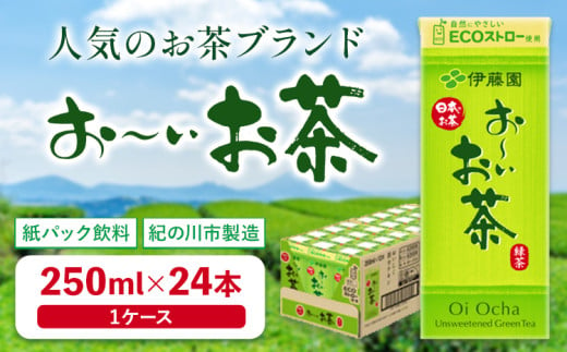 紀の川市産 紙パック飲料 おーいお茶 250ml×24本 1ケース 株式会社伊藤園 《30日以内に出荷予定(土日祝除く)》 和歌山県 紀の川市 お茶 おーいお茶 緑茶 日本茶 送料無料