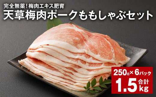 完全無薬！梅肉エキス肥育 天草梅肉ポークももしゃぶセット 計約1.5kg（約250g×6パック） 豚肉 お肉 1974979 - 熊本県上天草市