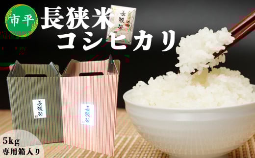 【市平】ボックス入り長狭米コシヒカリ５kg　[0019-0008]