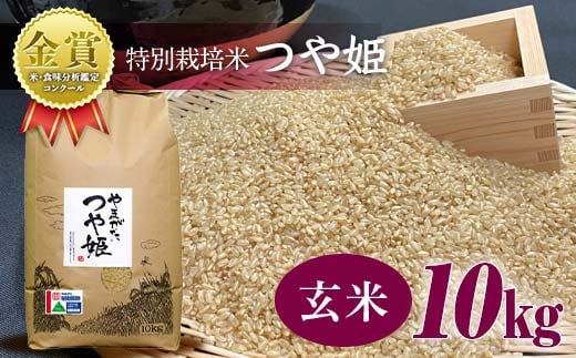 【令和6年産】米・食味分析鑑定コンクール金賞受賞生産者が作る 特別栽培米 つや姫 10kg 玄米 F21B-414