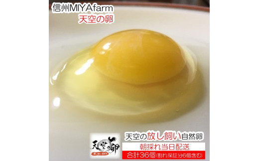 【ふるさと納税】381＊信州MIYAFARM　「天空の卵」有機野菜を食べて育った放し飼い自然卵　30個（割れ保証分6個付き　合計36個） 341662 - 長野県小川村