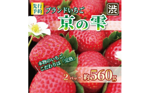 いちご 京の雫 2パック 約560g 280g×2パック【1588665】