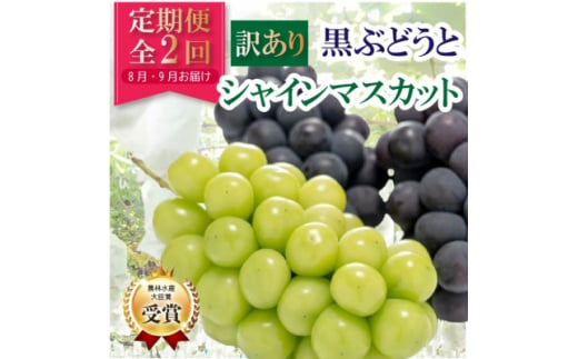 ＜発送月固定定期便＞＜訳アリ＞山梨の黒ぶどうとシャインマスカット全2回【4063715】