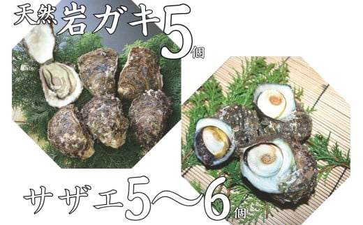 51K.天然岩ガキ･サザエセット