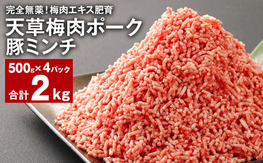 完全無薬！梅肉エキス肥育 天草梅肉ポーク 豚ミンチ 計約2kg（500g×4パック） 豚肉 お肉 1974962 - 熊本県上天草市