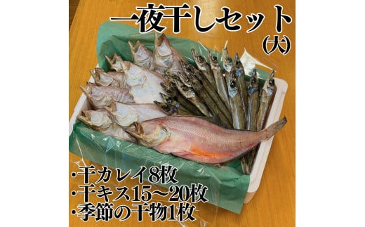 58K.■浜下商店■一夜干しセット〔大〕 763217 - 鳥取県湯梨浜町
