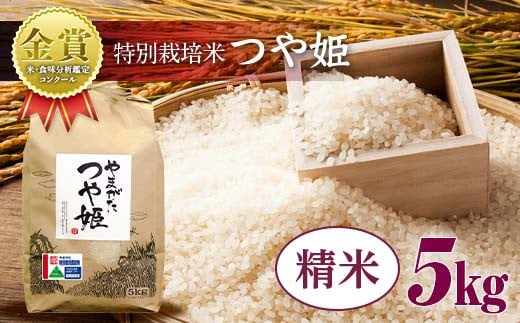 【令和6年産】米・食味分析鑑定コンクール金賞受賞生産者が作る 特別栽培米 つや姫 5kg 精米 F21B-411