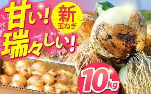 【先行予約】【こうふく玉でハッピーをお届け】佐賀県江北町産 新玉ねぎ 10kg【こうふく農園】[HBA002] 玉ねぎ たまねぎ 野菜 佐賀県産玉ねぎ 早生 産地直送 たまねぎ  264327 - 佐賀県江北町